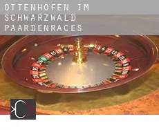 Ottenhöfen im Schwarzwald  paardenraces