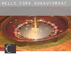 Wells Fork  gokautomaat