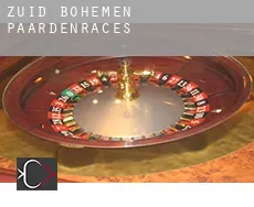 Zuid-Bohemen  paardenraces