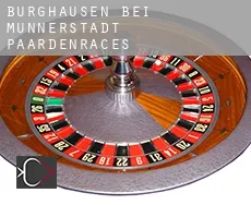 Burghausen bei Münnerstadt  paardenraces
