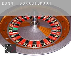 Dunn  gokautomaat