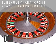 Glenmullynaha Cross Roads  paardenraces