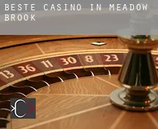 Beste casino in Meadow Brook