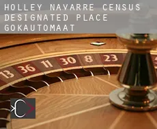 Holley Navarre  gokautomaat