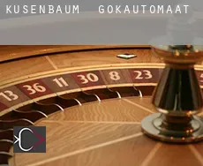 Küsenbaum  gokautomaat