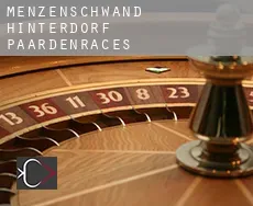 Menzenschwand-Hinterdorf  paardenraces