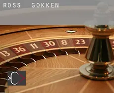 Ross  gokken
