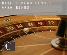 Baie-Comeau (census area)  bingo