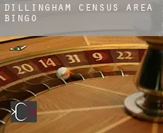 Dillingham Census Area  bingo