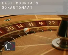 East Mountain  gokautomaat