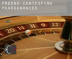 Fresno de Cantespino  paardenraces