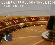 Llanfairpwll­gwyngyllgogerychwyrndrobwllllantysiliogogogoch  paardenraces