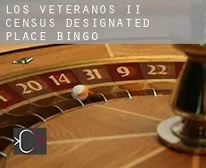 Los Veteranos II bingo