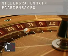 Niedergräfenhain  paardenraces