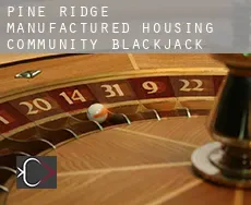 Pine Ridge Manufactured Housing Community  blackjack