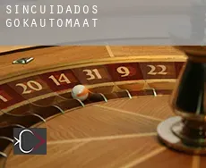Sincuidados  gokautomaat