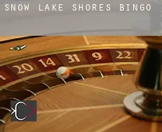 Snow Lake Shores  bingo