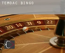 Temoac  bingo