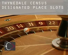 Thynedale slots
