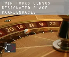 Twin Forks  paardenraces