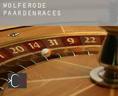 Wolferode paardenraces