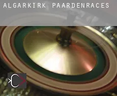 Algarkirk  paardenraces