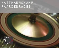 Kattmannskamp  paardenraces