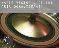 Marie-Victorin (census area)  gokautomaat