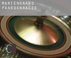 Mariengaard paardenraces