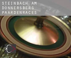 Steinbach am Donnersberg  paardenraces