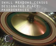 Swall Meadows  paardenraces