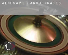 Winesap  paardenraces