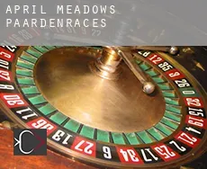 April Meadows  paardenraces