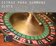 Citrus Park Commons  slots