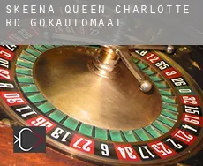 Skeena-Queen Charlotte Regional District  gokautomaat
