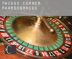 Twiggs Corner paardenraces