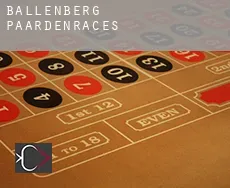 Ballenberg  paardenraces