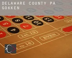 Delaware County  gokken