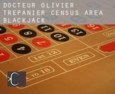 Docteur-Olivier-Trépanier (census area)  blackjack