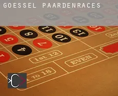 Goessel paardenraces