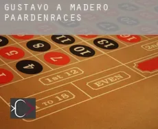 Gustavo A. Madero  paardenraces