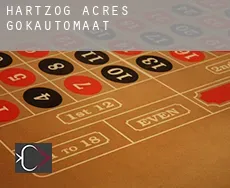 Hartzog Acres  gokautomaat
