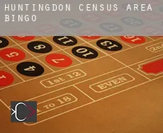 Huntingdon (census area)  bingo