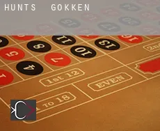 Hunts  gokken