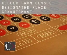 Keeler Farm  gokautomaat