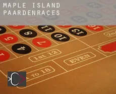 Maple Island  paardenraces