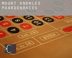 Mount Knowles  paardenraces