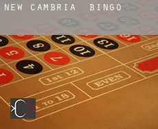 New Cambria  bingo