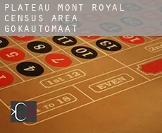Plateau-Mont-Royal (census area)  gokautomaat