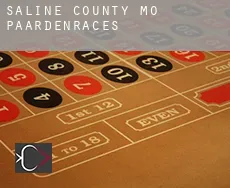 Saline County  paardenraces